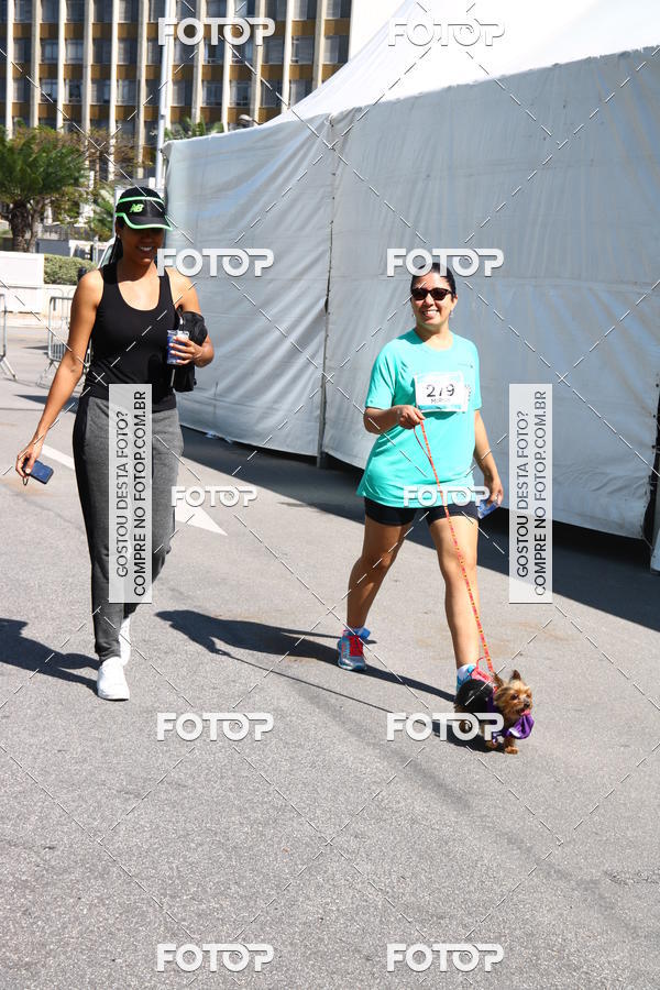 Buy your photos of the event2� Pet Run Shopping Eldorado  on Fotop