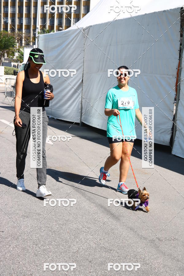 Buy your photos of the event2� Pet Run Shopping Eldorado  on Fotop