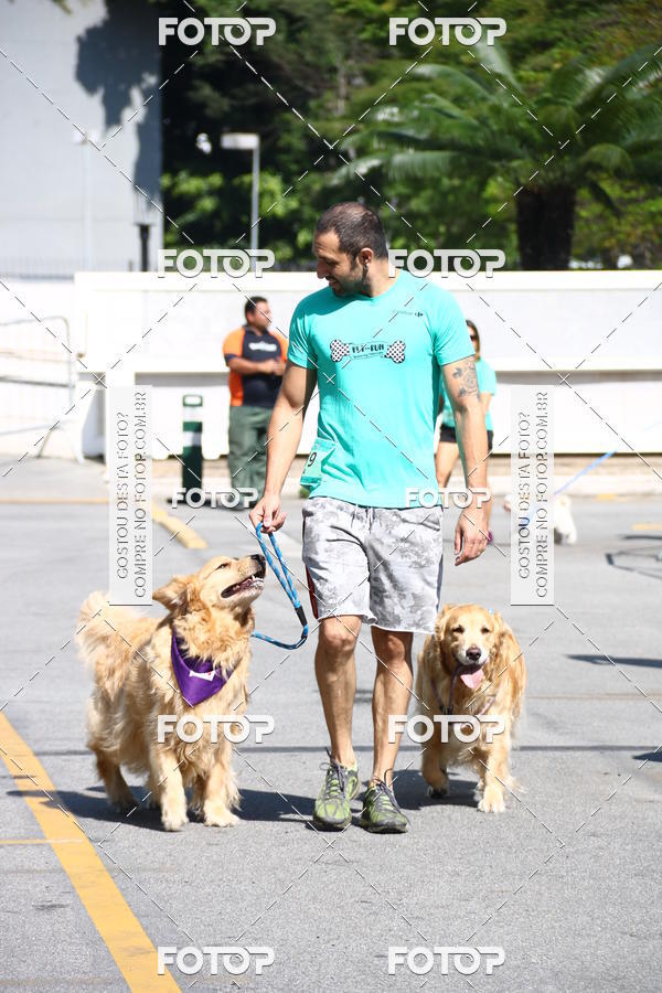 Buy your photos of the event2� Pet Run Shopping Eldorado  on Fotop