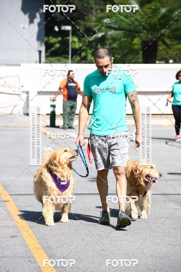 Buy your photos of the event2� Pet Run Shopping Eldorado  on Fotop