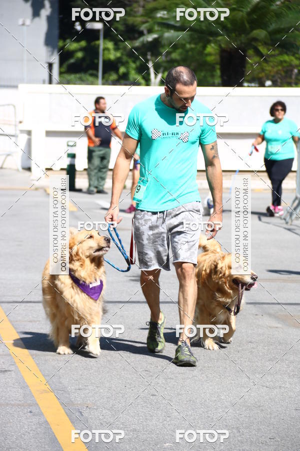 Buy your photos of the event2� Pet Run Shopping Eldorado  on Fotop