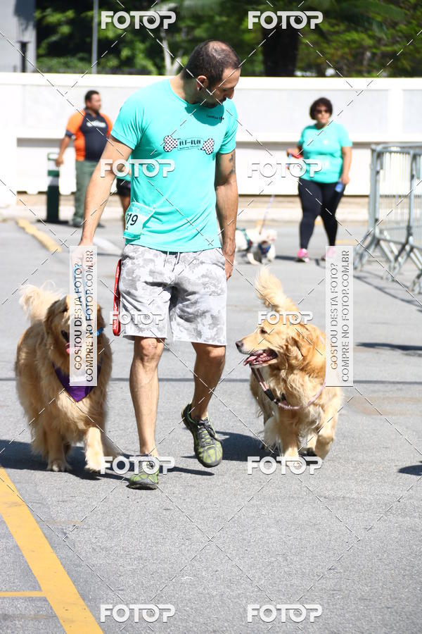 Buy your photos of the event2� Pet Run Shopping Eldorado  on Fotop