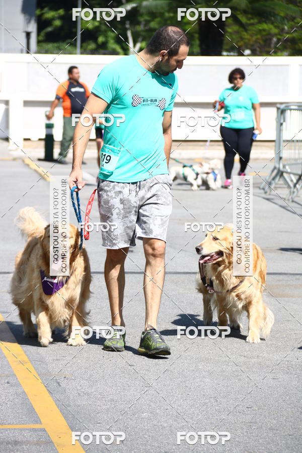 Buy your photos of the event2� Pet Run Shopping Eldorado  on Fotop