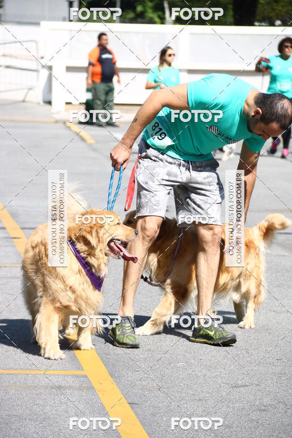 Buy your photos of the event2� Pet Run Shopping Eldorado  on Fotop