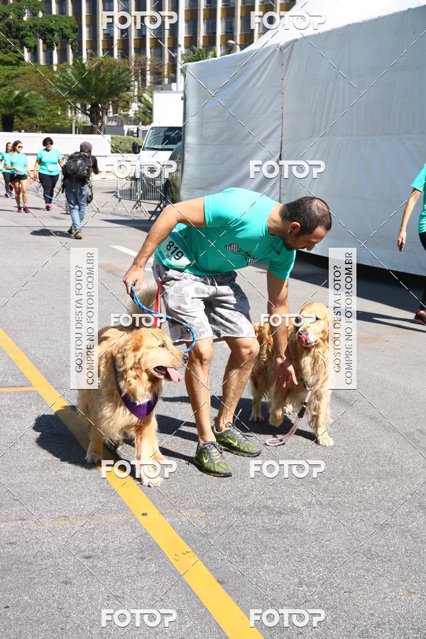 Buy your photos of the event2� Pet Run Shopping Eldorado  on Fotop