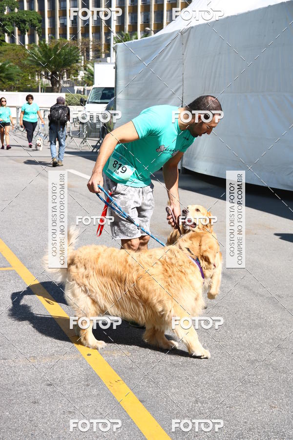 Buy your photos of the event2� Pet Run Shopping Eldorado  on Fotop