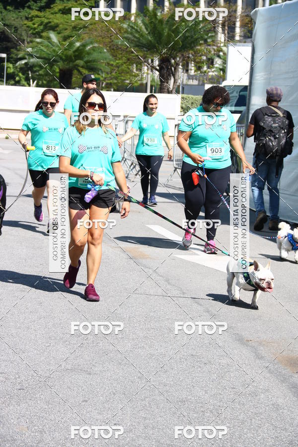Buy your photos of the event2� Pet Run Shopping Eldorado  on Fotop