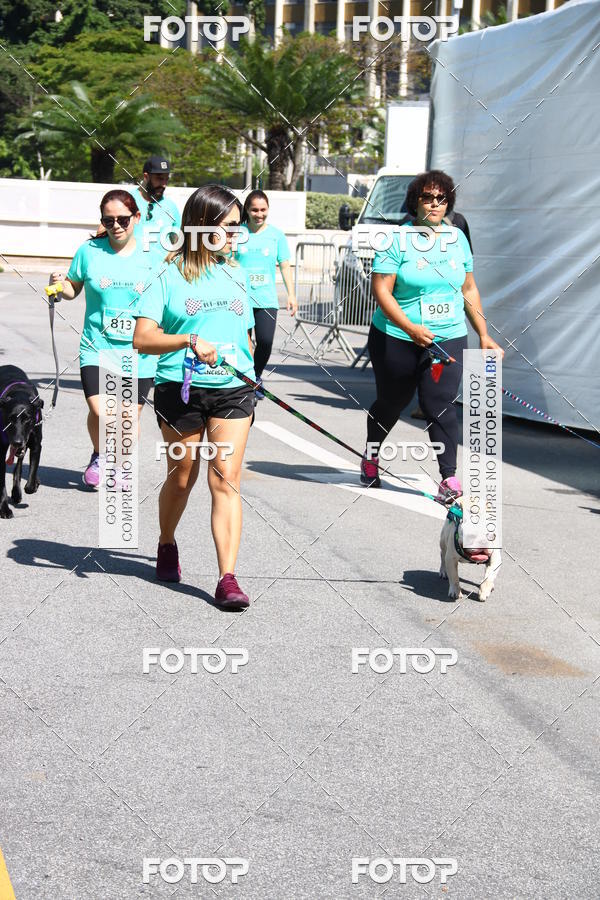 Buy your photos of the event2� Pet Run Shopping Eldorado  on Fotop