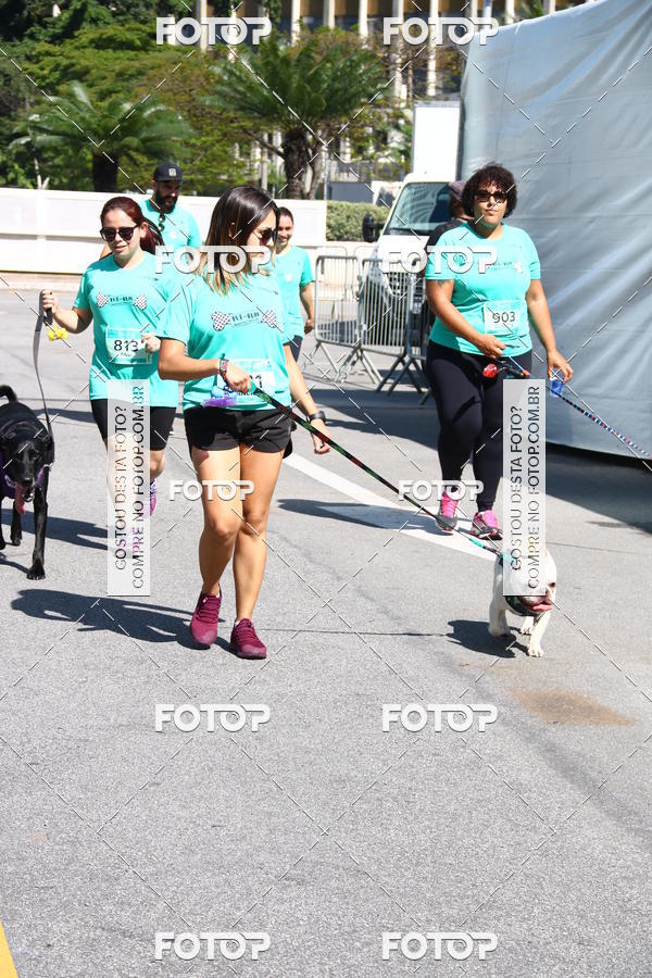 Buy your photos of the event2� Pet Run Shopping Eldorado  on Fotop