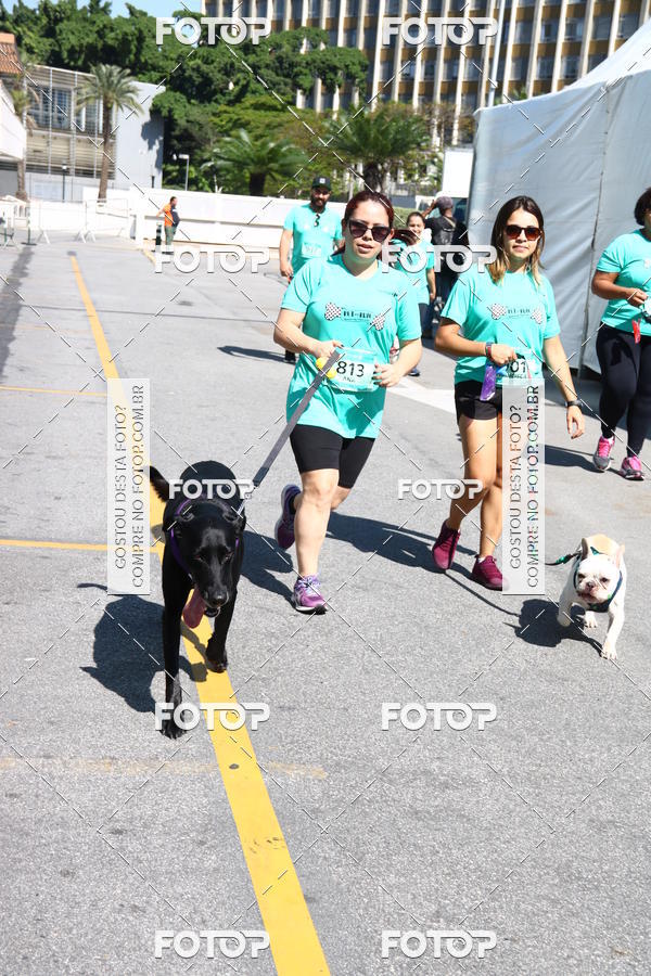 Buy your photos of the event2� Pet Run Shopping Eldorado  on Fotop