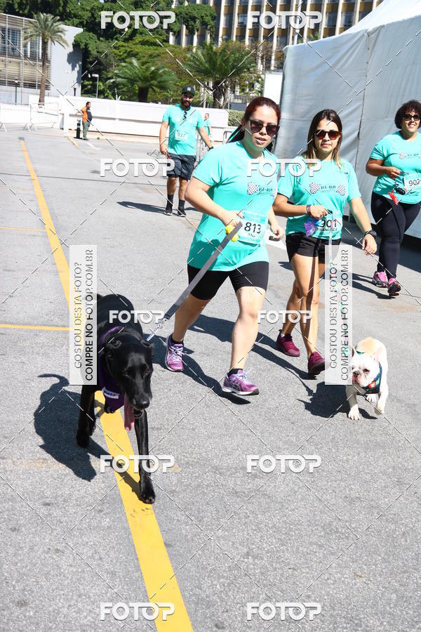Buy your photos of the event2� Pet Run Shopping Eldorado  on Fotop
