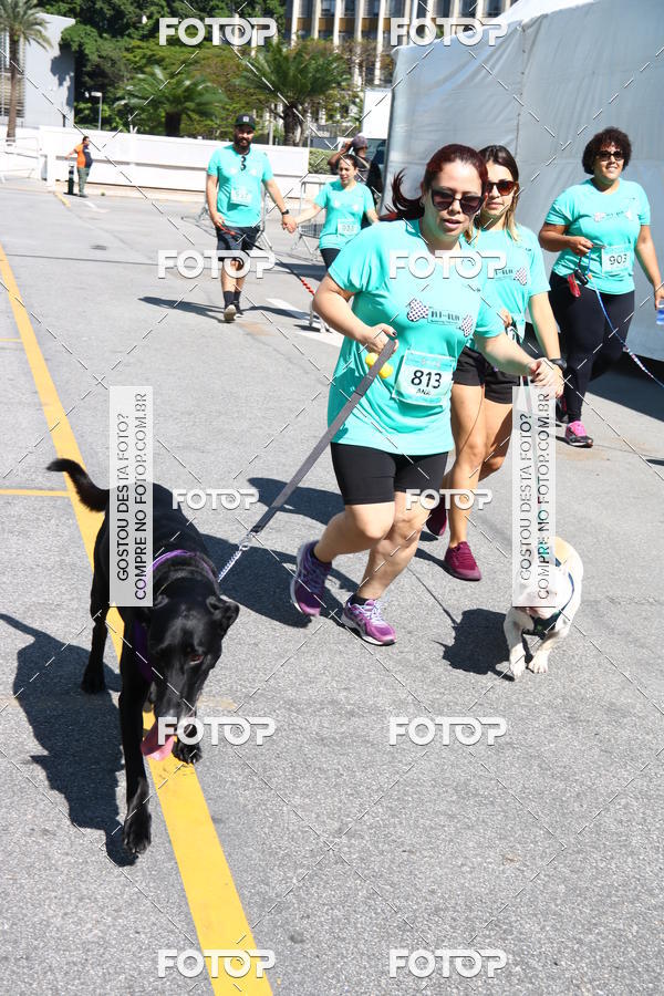 Buy your photos of the event2� Pet Run Shopping Eldorado  on Fotop