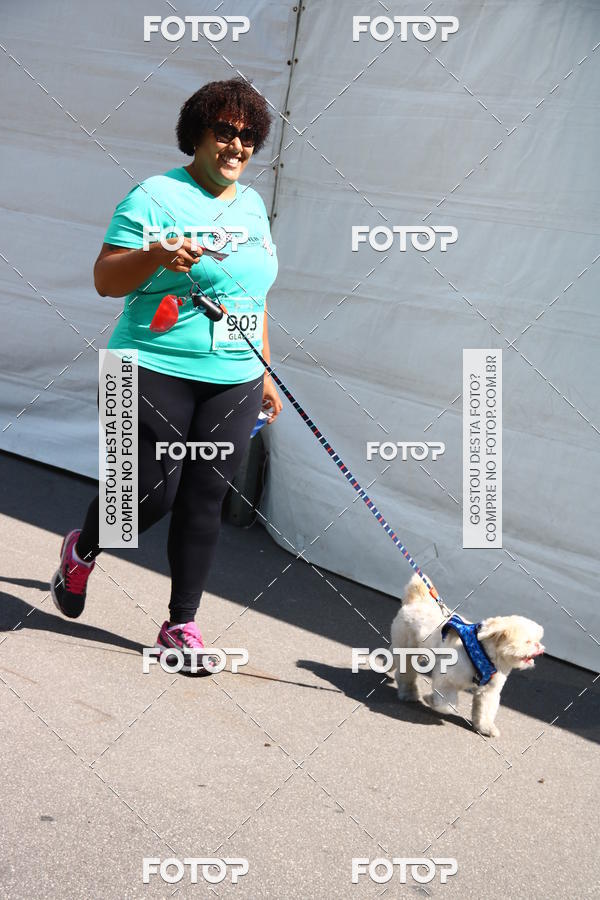 Buy your photos of the event2� Pet Run Shopping Eldorado  on Fotop