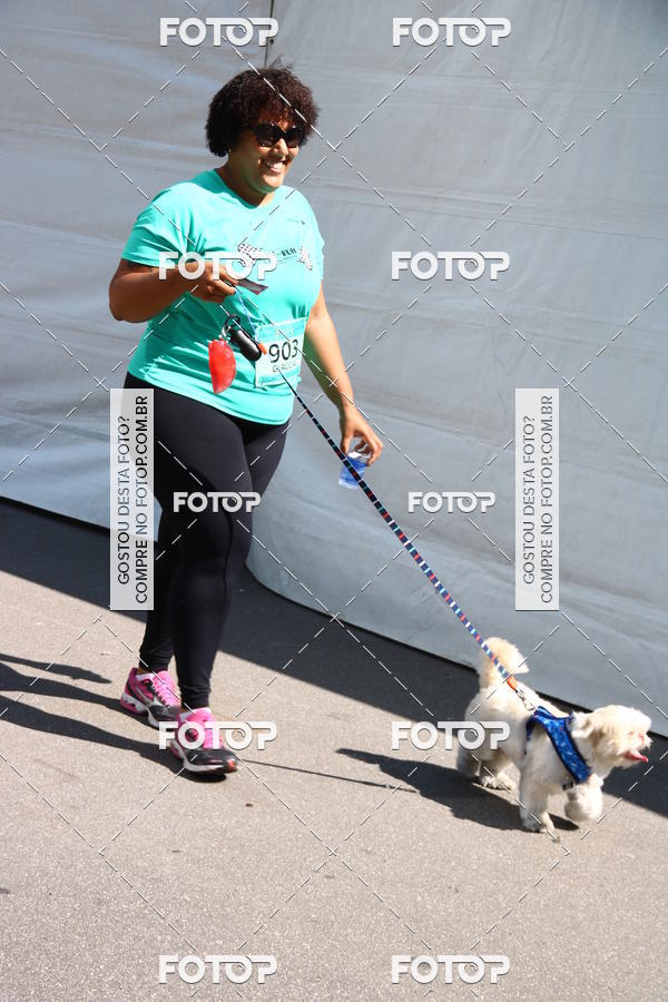 Buy your photos of the event2� Pet Run Shopping Eldorado  on Fotop