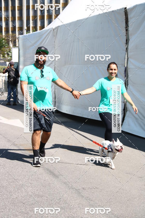 Buy your photos of the event2� Pet Run Shopping Eldorado  on Fotop