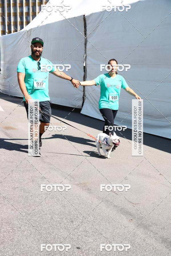 Buy your photos of the event2� Pet Run Shopping Eldorado  on Fotop