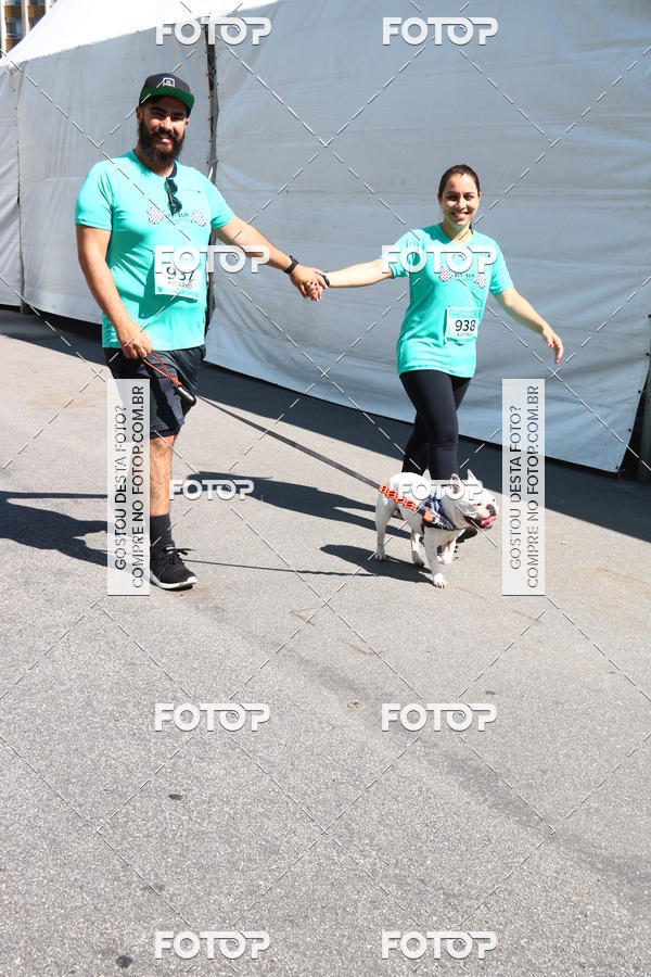 Buy your photos of the event2� Pet Run Shopping Eldorado  on Fotop