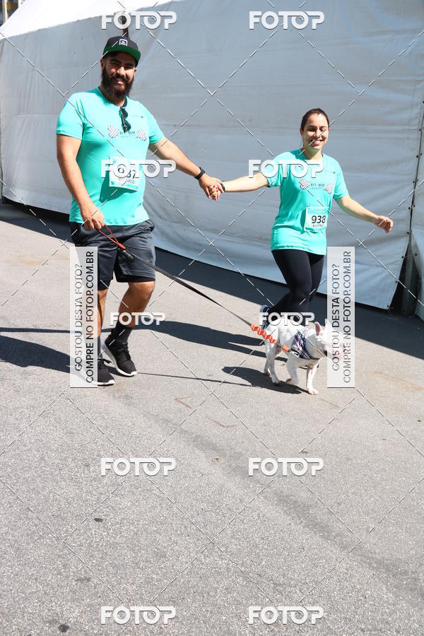 Buy your photos of the event2� Pet Run Shopping Eldorado  on Fotop
