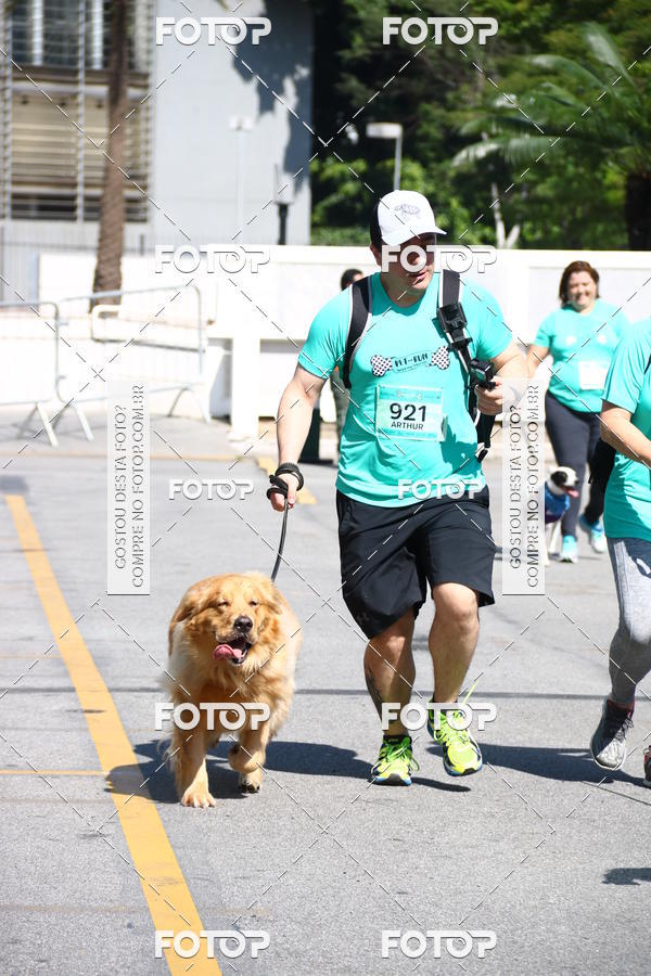 Buy your photos of the event2� Pet Run Shopping Eldorado  on Fotop