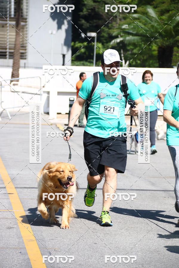 Buy your photos of the event2� Pet Run Shopping Eldorado  on Fotop