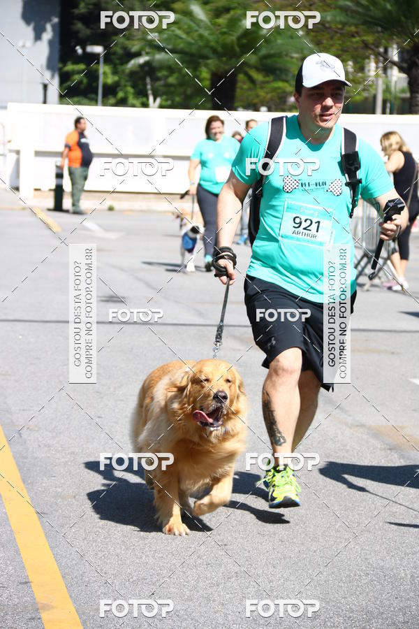 Buy your photos of the event2� Pet Run Shopping Eldorado  on Fotop