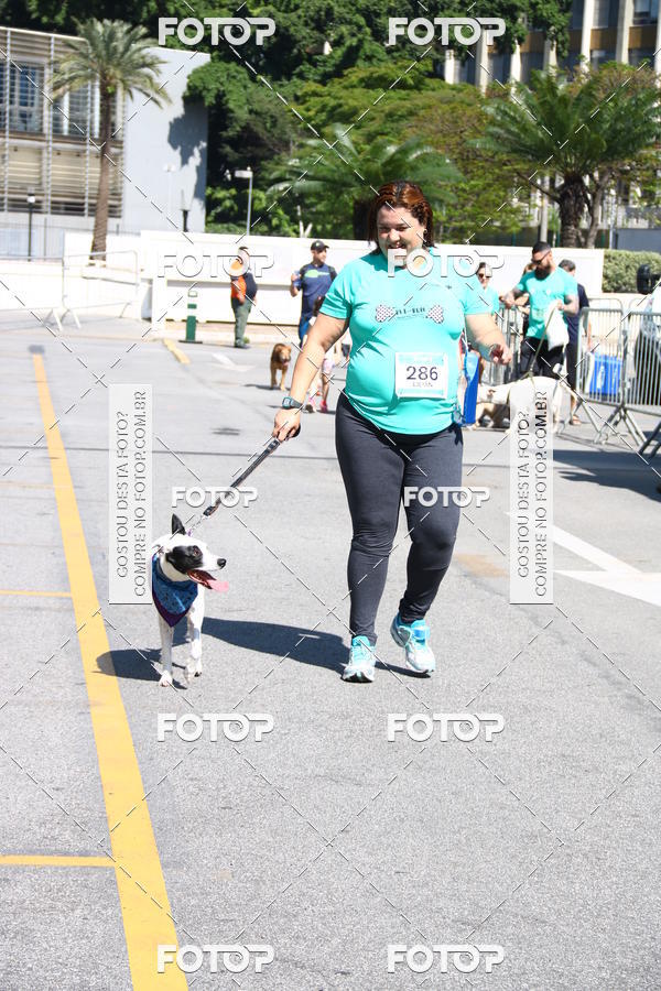 Buy your photos of the event2� Pet Run Shopping Eldorado  on Fotop