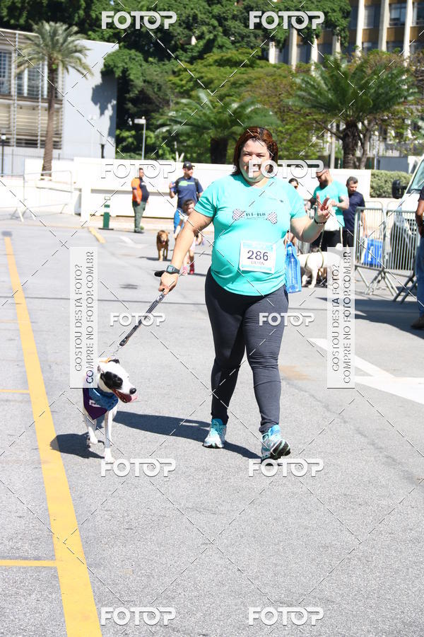 Buy your photos of the event2� Pet Run Shopping Eldorado  on Fotop