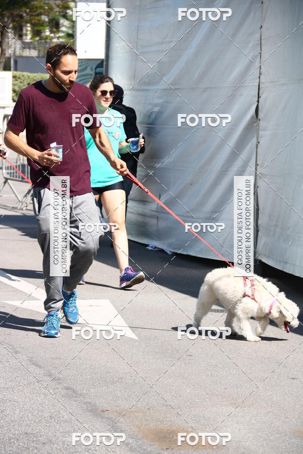 Buy your photos of the event2� Pet Run Shopping Eldorado  on Fotop