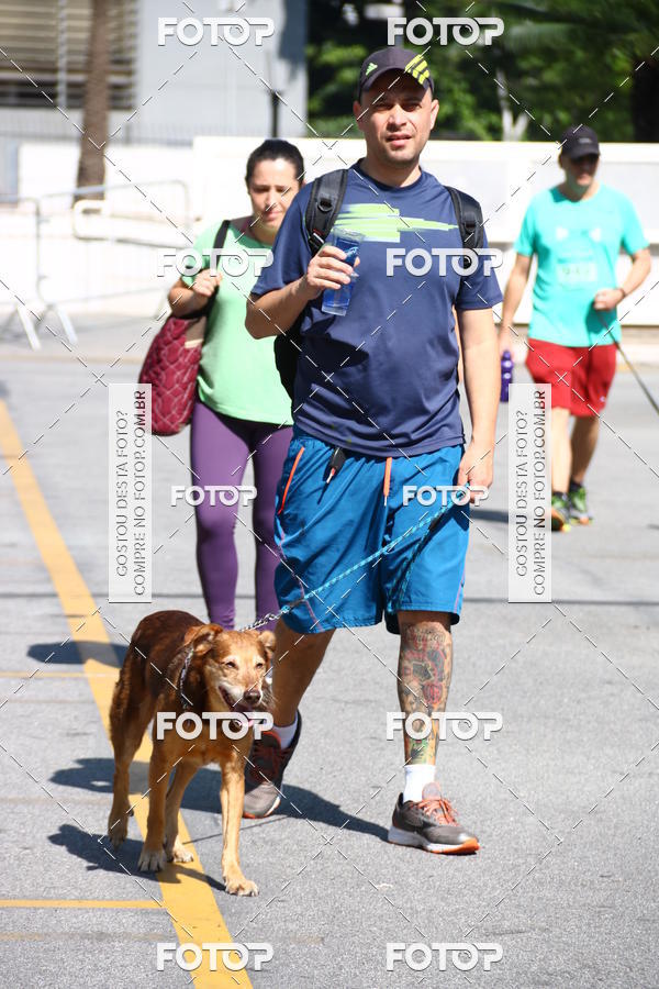 Buy your photos of the event2� Pet Run Shopping Eldorado  on Fotop