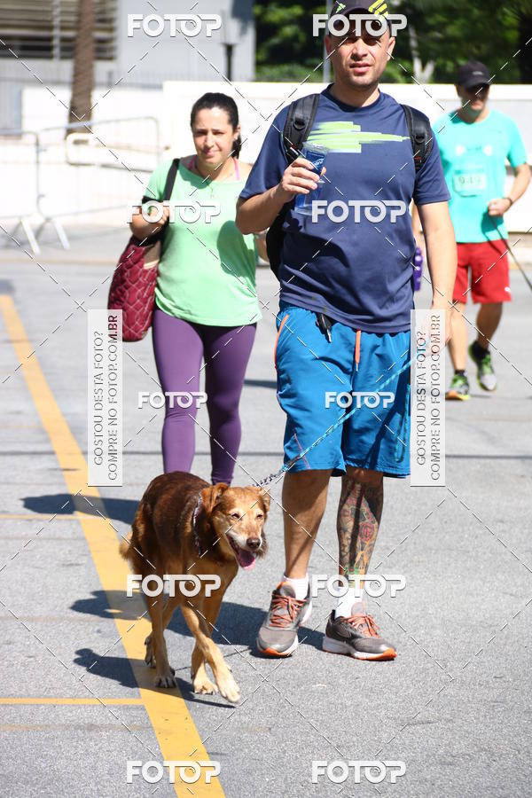 Buy your photos of the event2� Pet Run Shopping Eldorado  on Fotop