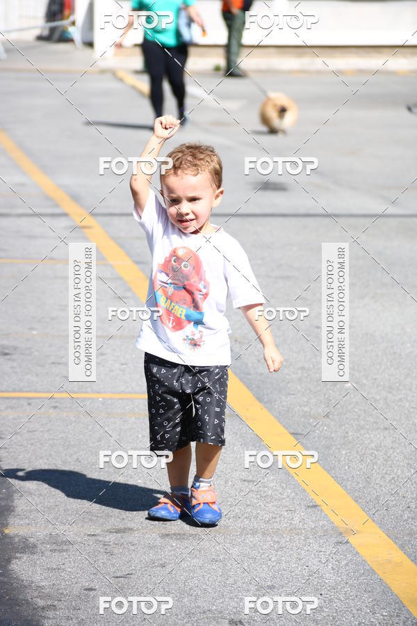 Buy your photos of the event2� Pet Run Shopping Eldorado  on Fotop