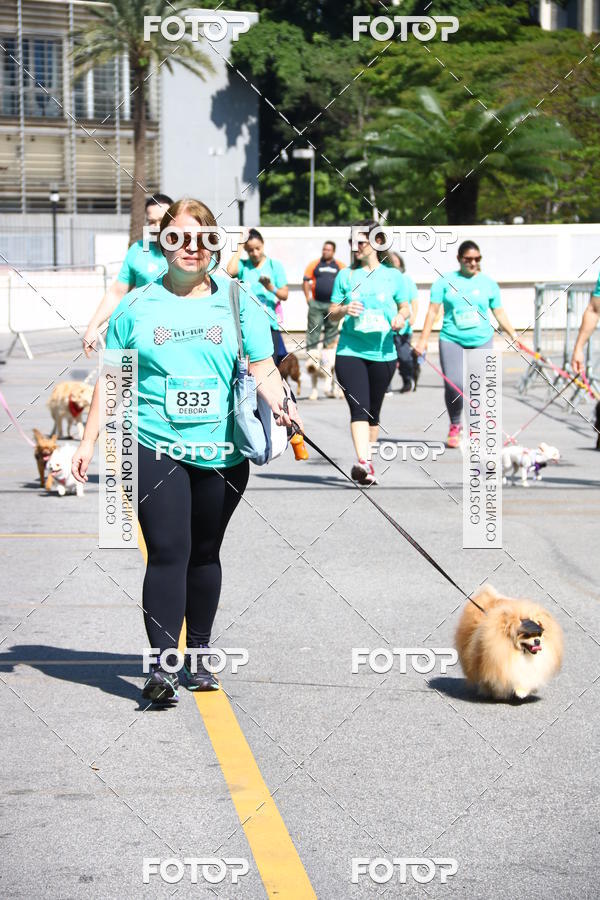 Buy your photos of the event2� Pet Run Shopping Eldorado  on Fotop