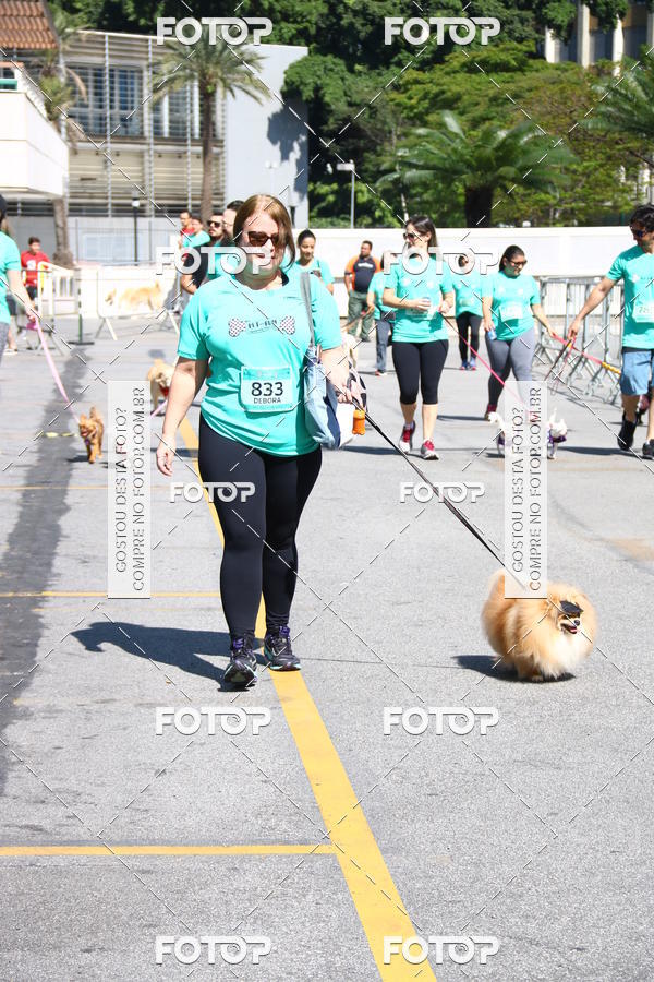 Buy your photos of the event2� Pet Run Shopping Eldorado  on Fotop