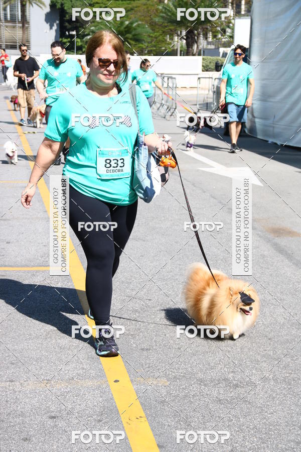 Buy your photos of the event2� Pet Run Shopping Eldorado  on Fotop
