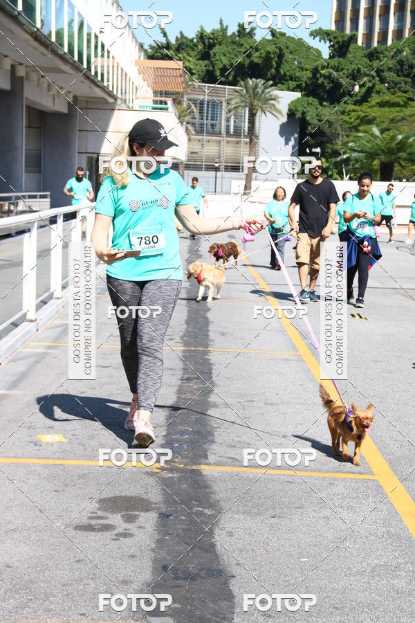 Buy your photos of the event2� Pet Run Shopping Eldorado  on Fotop