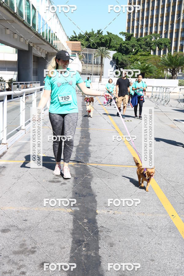 Buy your photos of the event2� Pet Run Shopping Eldorado  on Fotop