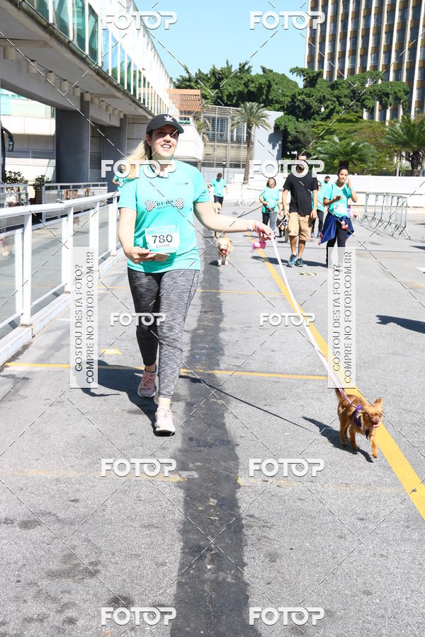 Buy your photos of the event2� Pet Run Shopping Eldorado  on Fotop