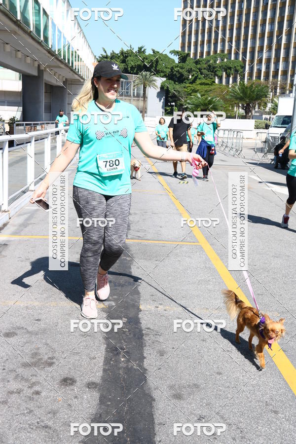 Buy your photos of the event2� Pet Run Shopping Eldorado  on Fotop