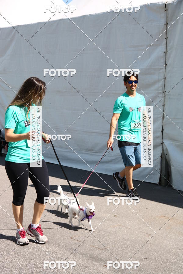 Buy your photos of the event2� Pet Run Shopping Eldorado  on Fotop