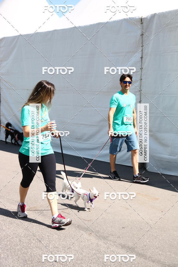 Buy your photos of the event2� Pet Run Shopping Eldorado  on Fotop