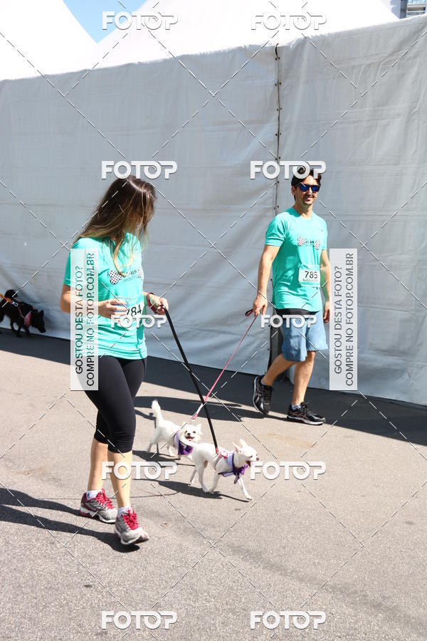 Buy your photos of the event2� Pet Run Shopping Eldorado  on Fotop