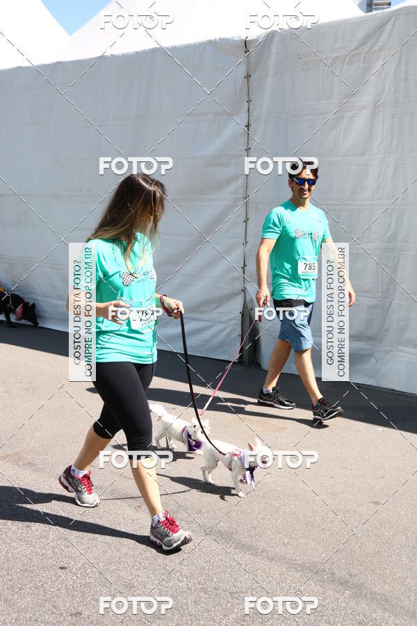 Buy your photos of the event2� Pet Run Shopping Eldorado  on Fotop