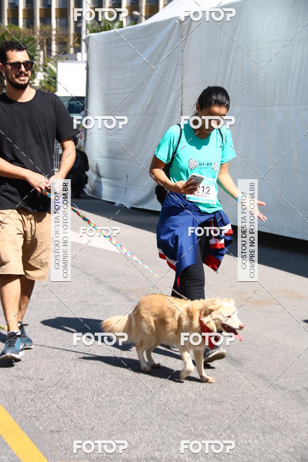 Buy your photos of the event2� Pet Run Shopping Eldorado  on Fotop