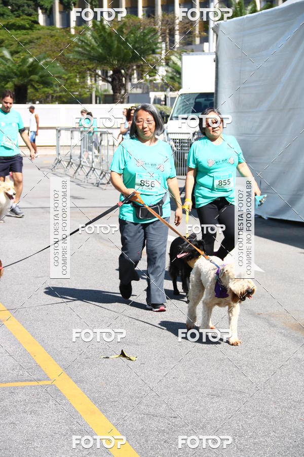 Buy your photos of the event2� Pet Run Shopping Eldorado  on Fotop
