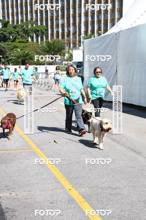 Buy your photos of the event2� Pet Run Shopping Eldorado  on Fotop