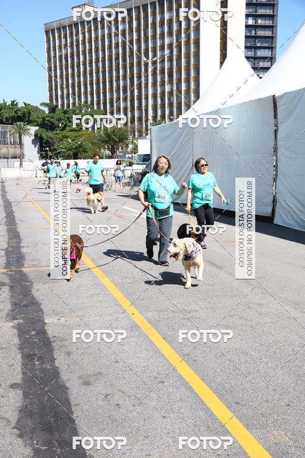 Buy your photos of the event2� Pet Run Shopping Eldorado  on Fotop