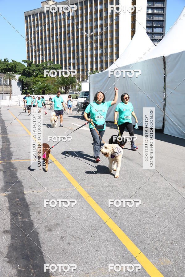 Buy your photos of the event2� Pet Run Shopping Eldorado  on Fotop