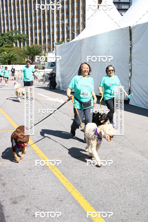 Buy your photos of the event2� Pet Run Shopping Eldorado  on Fotop