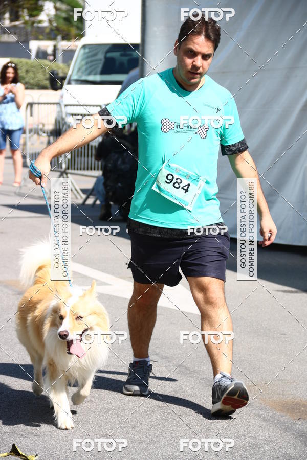 Buy your photos of the event2� Pet Run Shopping Eldorado  on Fotop