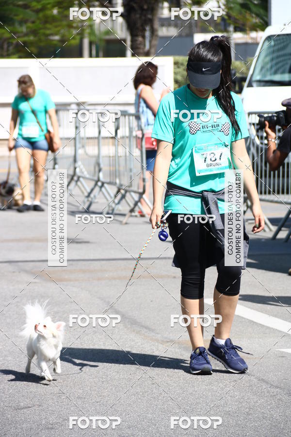 Buy your photos of the event2� Pet Run Shopping Eldorado  on Fotop
